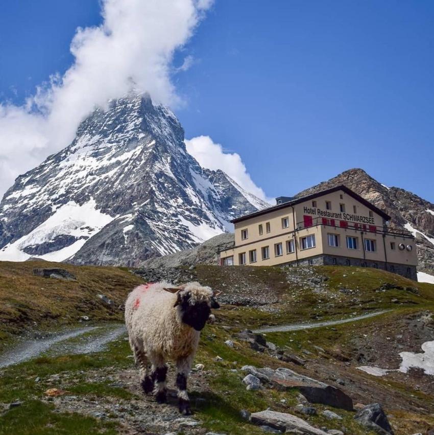 Hotel Schwarzsee Церматт Экстерьер фото